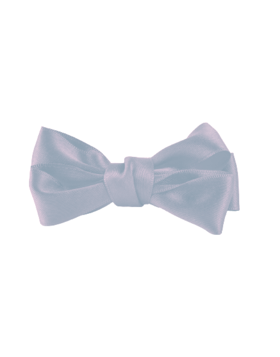 Baby Silk Bow